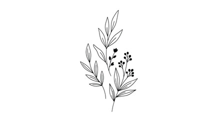 Floral arrangement with leaves and berries black and white silhouette © Ms sumu