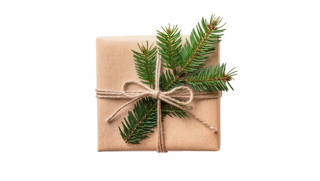 Isolated festive gift box wrapped in craft paper with twine and a green fir branch