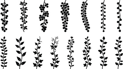 Hanging berry vine dividers vector collection with botanical leaf elements © SHARMIN