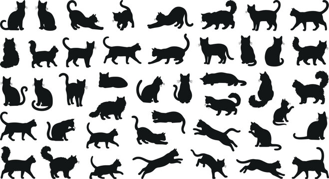 Large collection of black cat silhouettes in various poses including stretching sleeping jumping walking and sitting isolated on a white background vector illustration