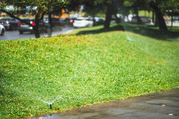 Obraz premium Small irrigation sprinklers watering bright green grass beside a city road, summer park maintenance with mist, trees, cars and wet sidewalk
