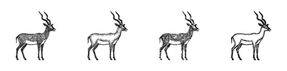 Fototapeta premium Black and white sketch impala icon design set