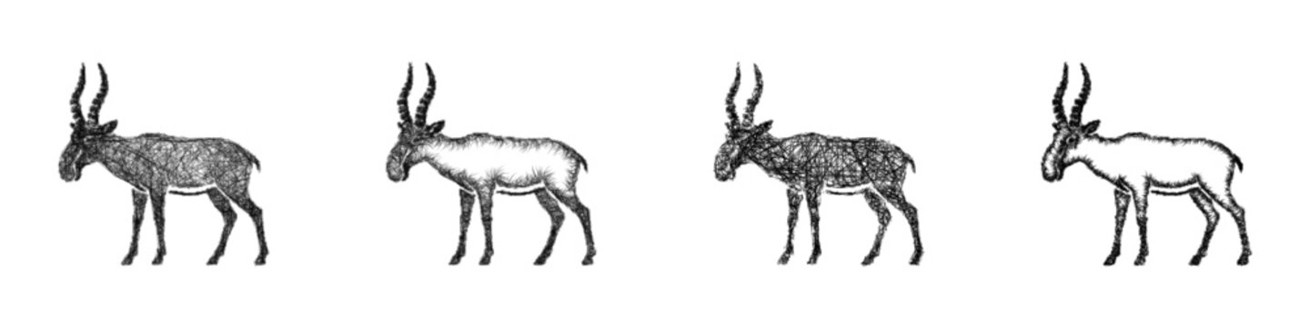 Sketch saiga icon design set