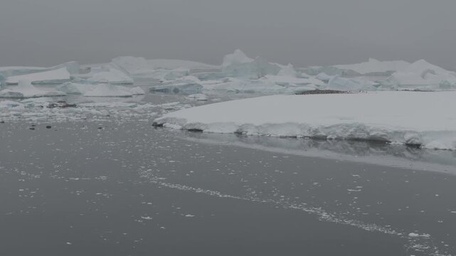 Antarctica Aerial  Landscape D-LOG 4K60 100Mbps