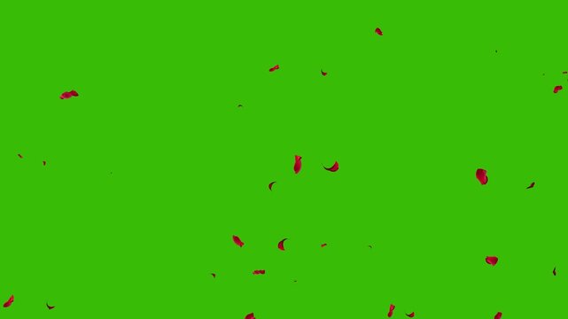 Falling Red Rose Petals Green Screen Effect | Romantic Flower Petal Drop Animation