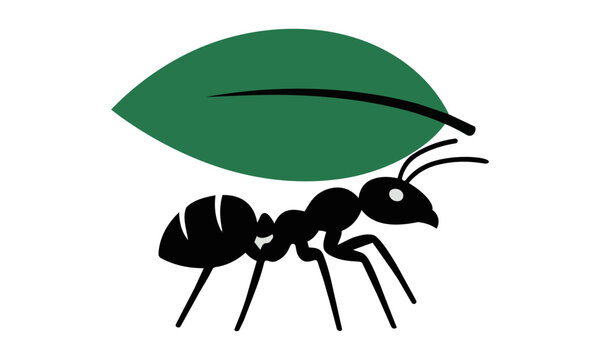 Minimalist silhouette of a leafcutter ant carrying a large oval leaf segment on a solid white background, nature and biology concept