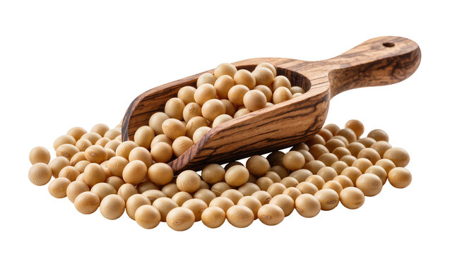 Isolated delicious healthy soybeans in a rustic wooden scoop for organic vegan food preparations.