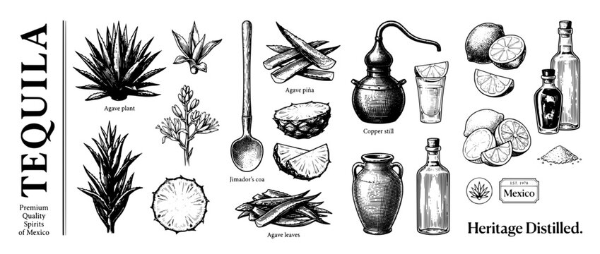 Engraved illustration set featuring tequila production with agave plants, tools, and traditional elements of Mexico