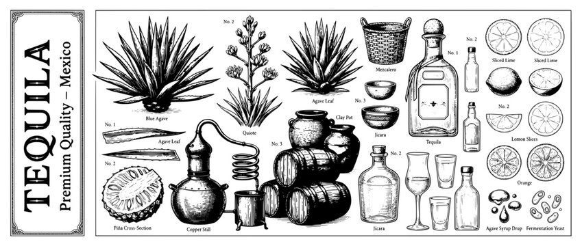 Engraved illustration set showcasing the rich heritage of tequila production in Mexico with detailed depictions