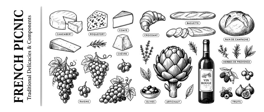 Explore the delightful engraved illustration set capturing the essence of a French picnic filled with culinary treasures