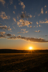 Obraz premium golden wheat field in sunset light