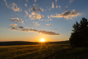Obraz premium golden wheat field in sunset light