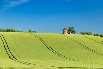Obraz premium rolling green fields in early summer in Czech Moravia