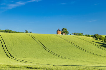 Obraz premium rolling green fields in early summer in Czech Moravia
