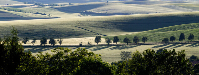Obraz premium rolling green fields in early summer in Czech Moravia