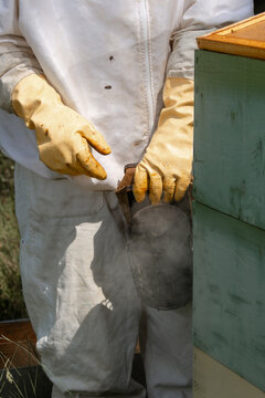 Close-up of beekeeper hand holding smoking bee smoker near hives