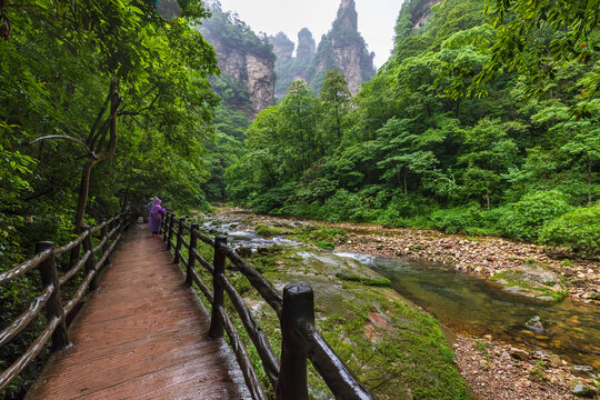 Golden Whip Stream in Zhangjiajie, China
