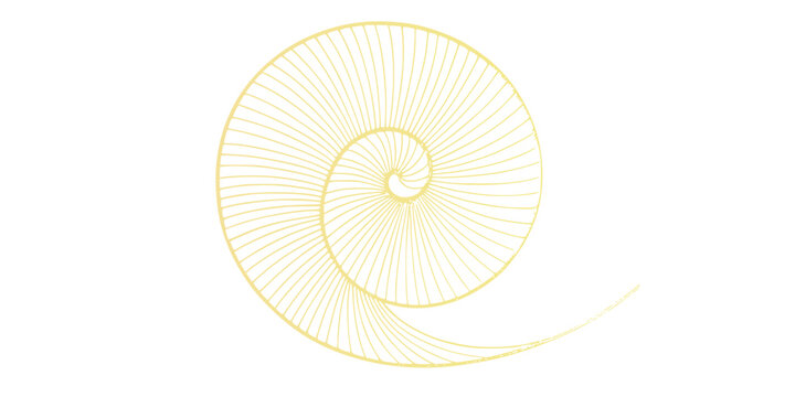 Golden Spiral Fibonacci Sequence: An intricate golden spiral, representing the Fibonacci sequence, unfolds gracefully, symbolizing growth, nature, and mathematical beauty.