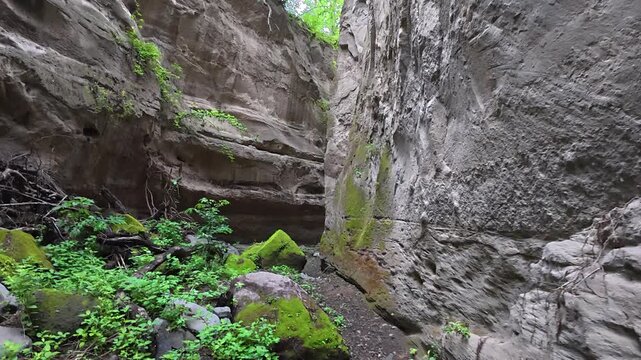 Ca&ntilde;&oacute;n del Remate