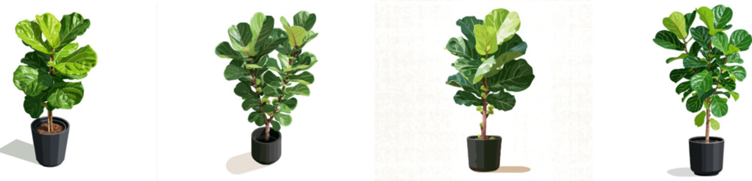 A minimalist vector art illustration of a tall potted fiddle leaf fig tree with oversized glossy green leaves in an isometric view, set against a clean white background