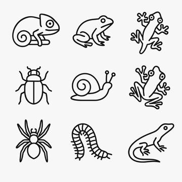 Beetle frog chameleon millipede icons tree tarantula vector animal snail terrarium icon