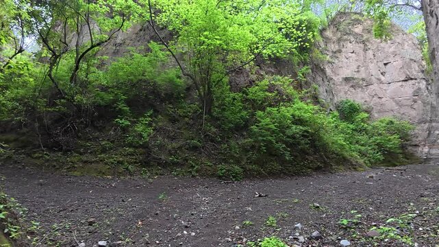 Ca&ntilde;&oacute;n del Remate