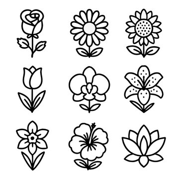 Grid orchid sunflower hibiscus tulip floral icon lotus daffodil vector lily rose