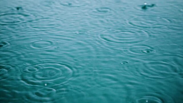 Rain falling on water creates beautiful circular ripples expanding across teal surface in slow motion. Raindrops splash and bounce creating mesmerizing concentric patterns on calm pond during.