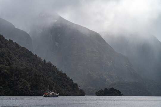 Tour boat cruising past steep forested mountains shrouded in low clouds at Doubtful Sound, Fiordland, South Island, New Zealand in October 2025.