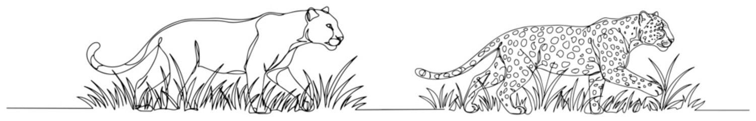 Leopard and cougar prowling in tall grass continuous line drawing, wild big cats hunting in savanna minimalist vector illustration, safari wildlife concept © ----WWWLINE----