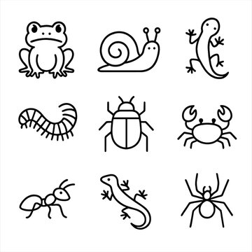 Terrarium lizard crab tiny gecko millipede spider ant animal icon snail vector