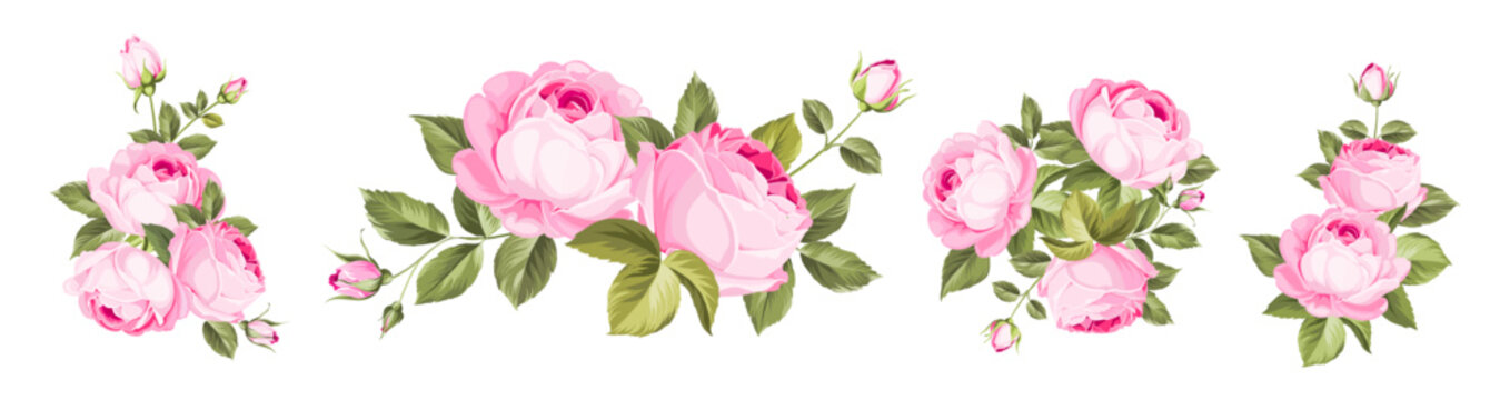 Vintage rose flowers set overwhite background. Wedding flowers bundle