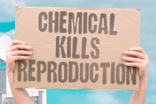 "Chemical kills reproduction" Toxins in environment harm fertility. TOXIN. ENDOCRINE. DISRUPTOR. DAMAGE. SPERMATOGENESIS.
