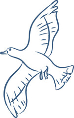 Seagull Soaring Hand Drawn Sketch © Mykola Syvak