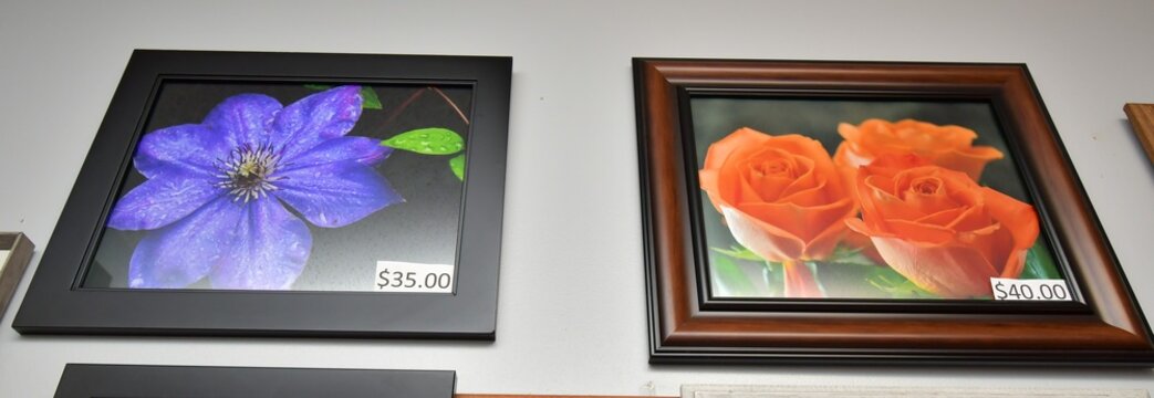 Framed Photos