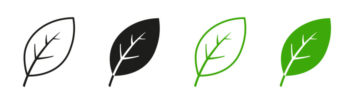 Leaf icon. Outline and filled botanical leaf symbols representing nature, sustainability, eco friendly products, organic growth, and environmental responsibility. Leaf vector illustration.