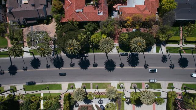 Aerial top-down view of a sunny suburban street lined with tall palm trees casting long shadows on the asphalt road where cars drive past residential houses with red roofs and green lawns