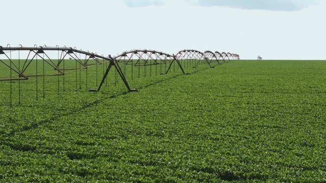 A large center pivot irrigation system spans across a vast, lush green field of crops under a clear sky, illustrating modern industrial agricultural practices and efficient water management