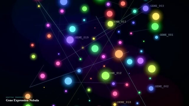 A mesmerizing spatial transcriptomics visualization displays a growing network of colorful gene nodes and glowing connections within a deep digital nebula for scientific data analysis.