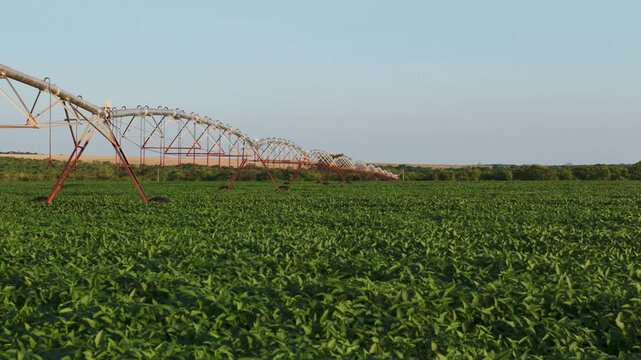 Industrial center pivot irrigation system stretching across a vast lush green soybean field under a clear blue sky during a bright sunny day in a rural agricultural landscape