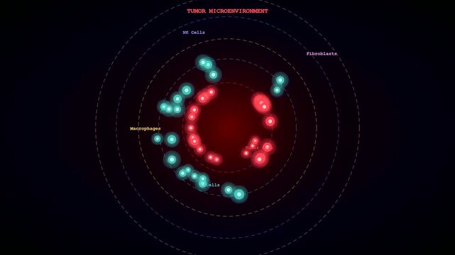 Advanced spatial transcriptomics visualization provides a dynamic map of immune cell populations as they interact with malignant tissues within a complex tumor microenvironment model.