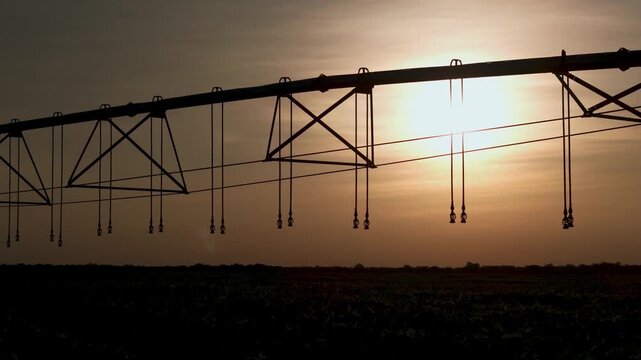 Silhouette of a center pivot irrigation system in a large agricultural field at sunset with a bright sun shining through the metal structure during the golden hour in the countryside