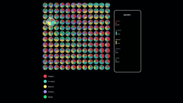 This spatial transcriptomics visualization shows an interactive cursor selecting different pie charts on a grid to reveal changing cellular composition metrics in real time.