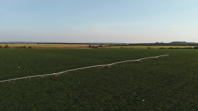 An expansive aerial perspective of a vibrant green agricultural field with a prominent white trail stretching across the crops under a clear sky, highlighting rural farming and land use