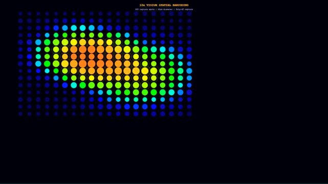 A detailed spatial transcriptomics visualization unfolds across a dark background showing gene expression patterns through a colorful dot matrix representing complex biological data research insights.