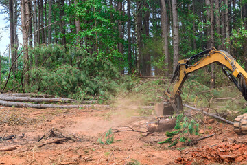 Fototapeta premium Workers use machinery to cut down trees in forested area for land development during deforestation