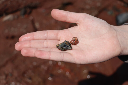 Nature details, rocks, and sea life textures on the red sand beach of Nova Scotia, Fundy, Canada.