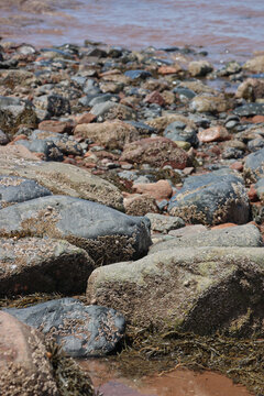 Nature details, rocks, and sea life textures on the red sand beach of Nova Scotia, Fundy, Canada.