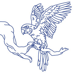 Obraz premium Line sketch illustration of a macaw flying and perched on a tree branch
