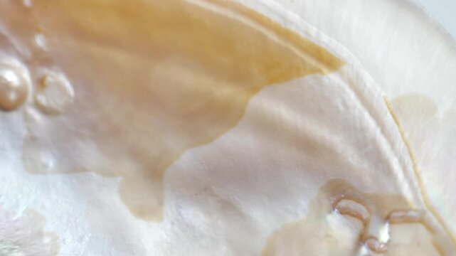 Iridescent mother of pearl texture. nacre background in pastel tones. soft beige tones and organic pattern. 4k footage